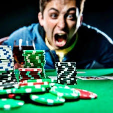 Вход на официальный сайт Pelican Casino